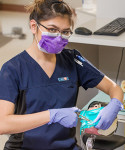 A ߴý Student working in the dental clinic