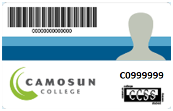 An example of a ߴý ID card.